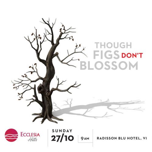Figs dont blossom
